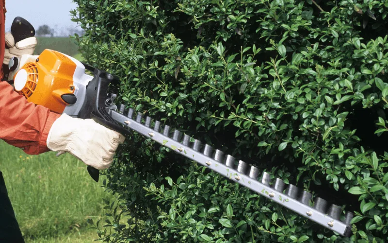 hard-at-work-shrub-trimming